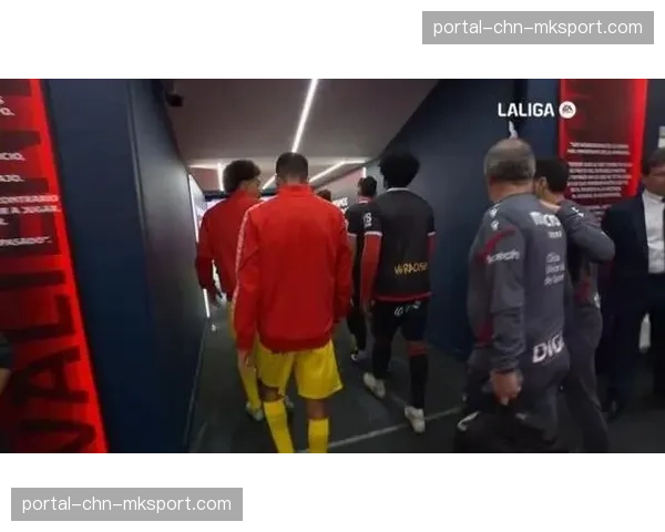 暖心一幕：奥萨苏纳小球迷冲入场内拥抱偶像布拉沙纳茨，未受处罚